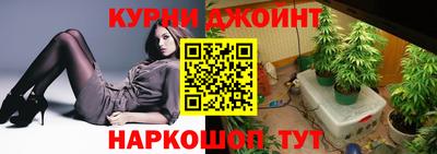 СК Севастополь