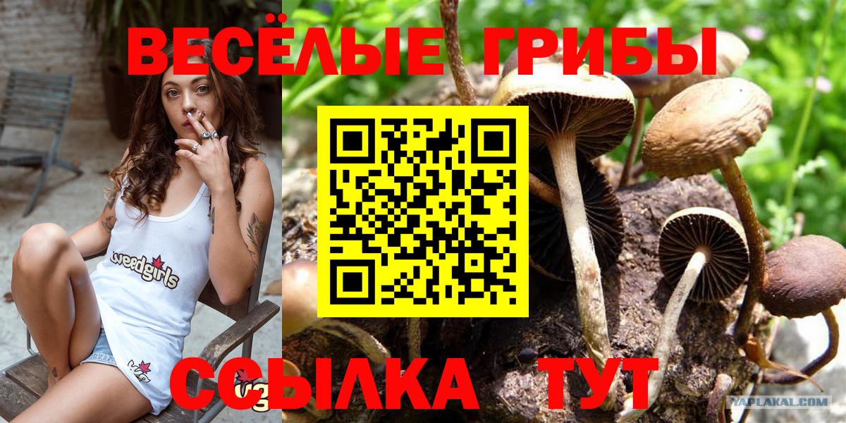 Псилоцибиновые грибы MAGIC MUSHROOMS Барабинск